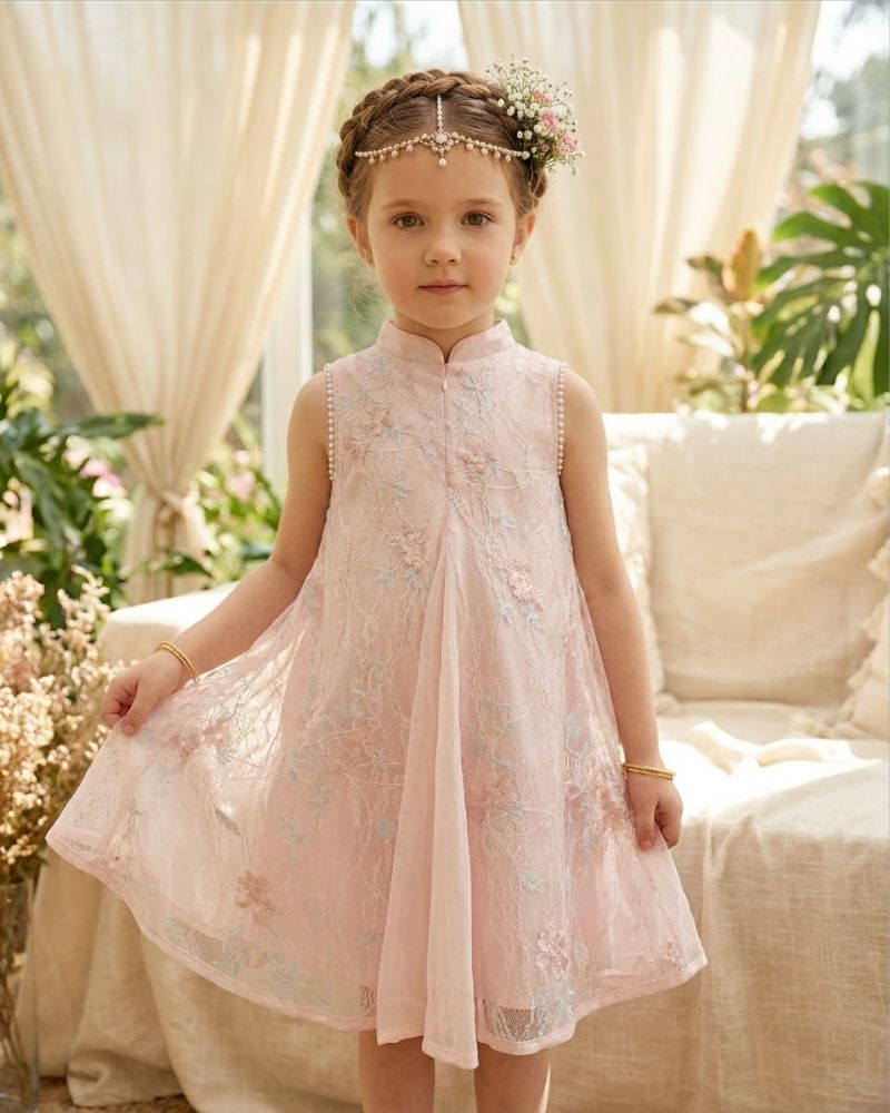 Embroidered chiffon dress